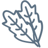 Sorrel/Dock icon